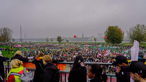 Ein Blick auf tausende Demonstrant*innen auf den Rheinwiesen in Düsseldorf