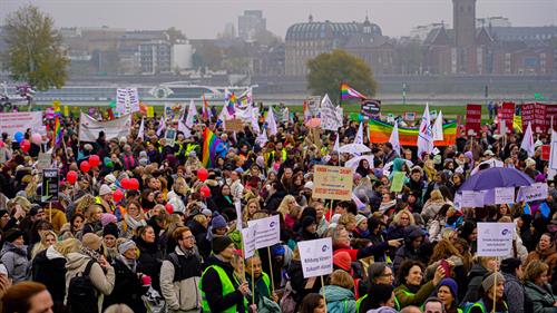 Eine Menge Demonstrat*innen mit Schildern und Transparenten zur Demo auf den Rheinwiesen vor der Kulisse des Rheins und der Düsseldorfer Altstadt