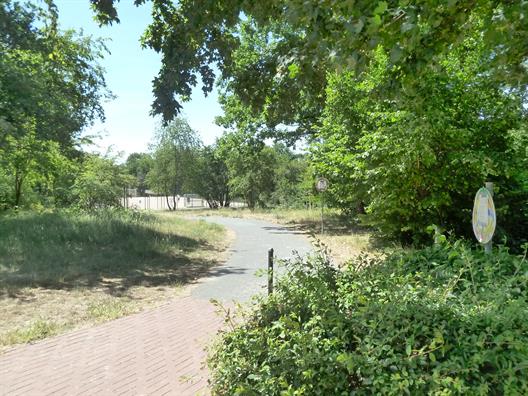 football field