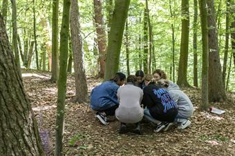Eine Gruppe von Studierenden hocken in einem Kreis eng beieinander im Wald.
