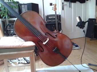 Lina Palm
Bild eines Cellos